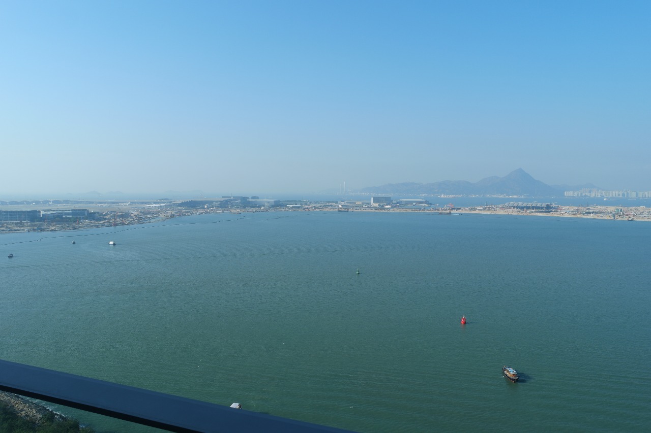 東涌 東環 高層住海景放賣