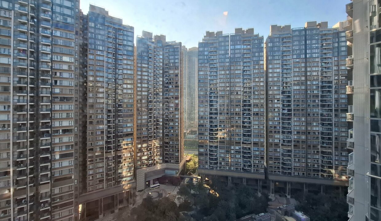 20241221_090939