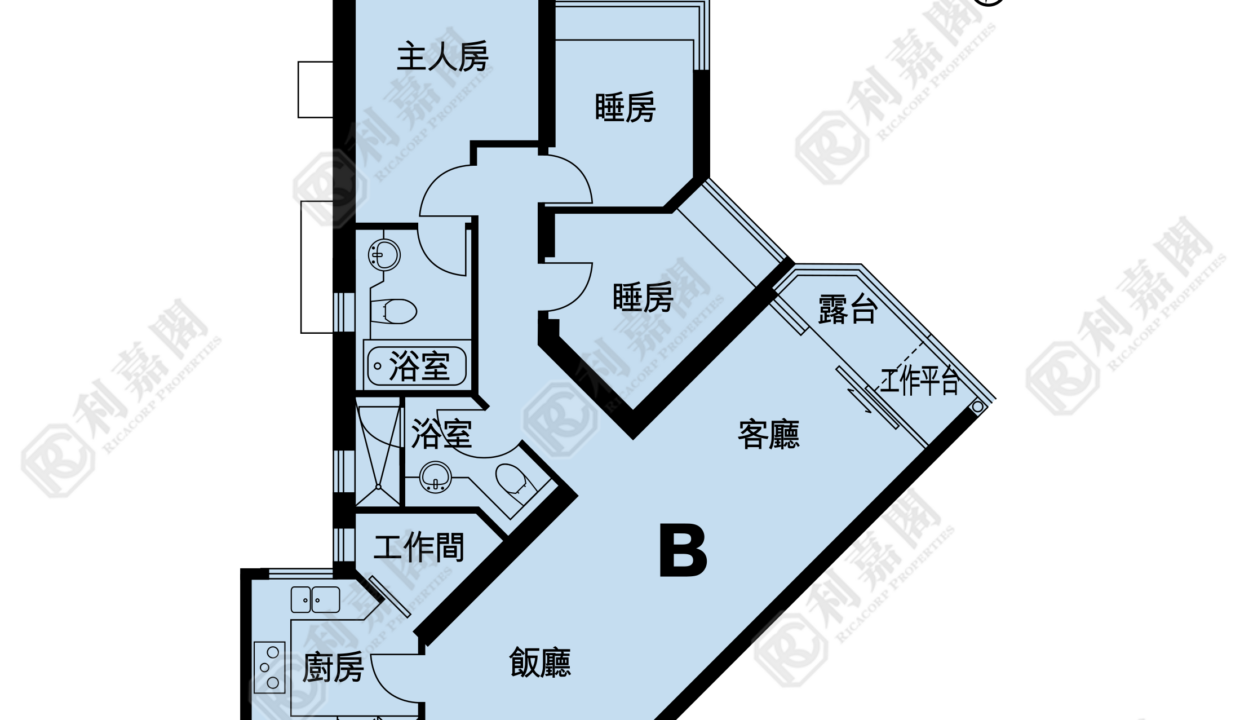 11451_2000_Ricacorp-1.png