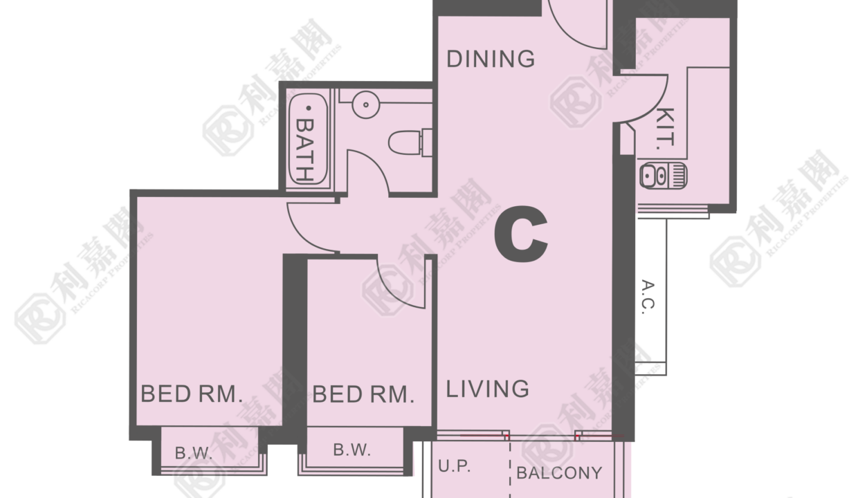12173_2000_Ricacorp-3.png