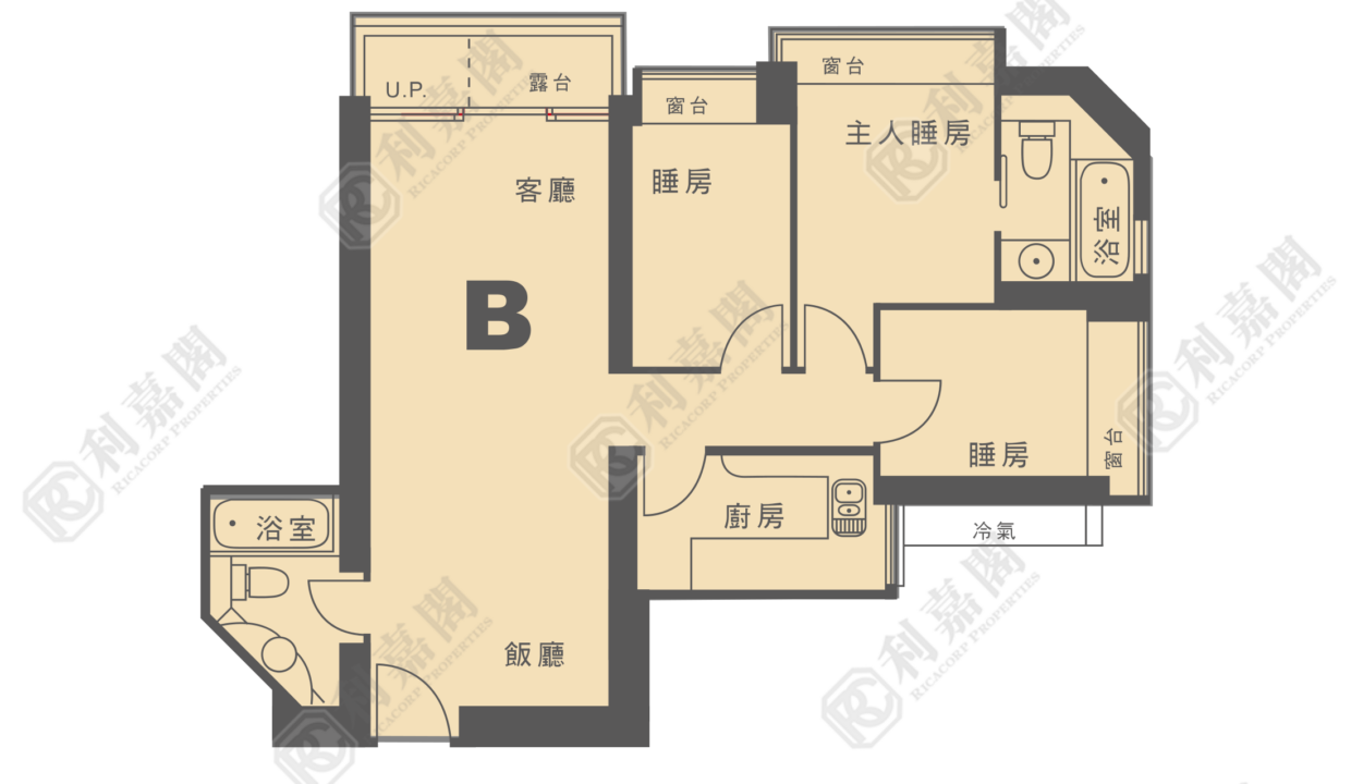 12370_2000_Ricacorp-1.png