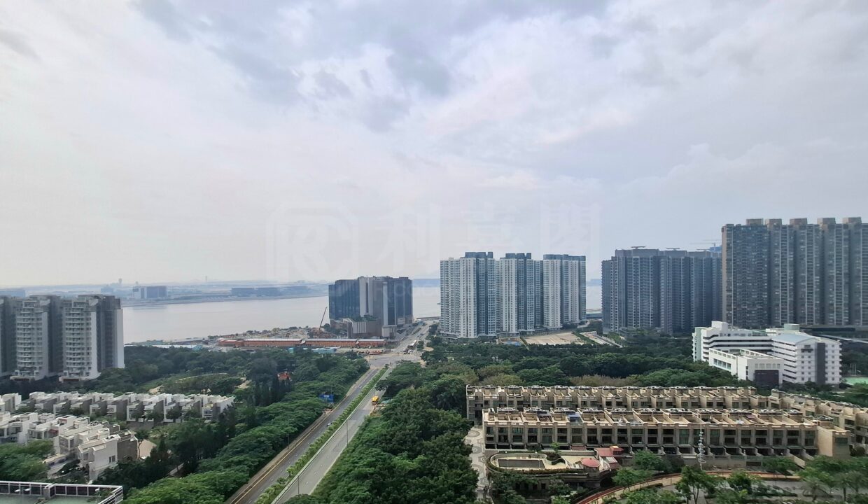 16e50084-a25d-4539-85d8-962e7d1d400d.jpeg