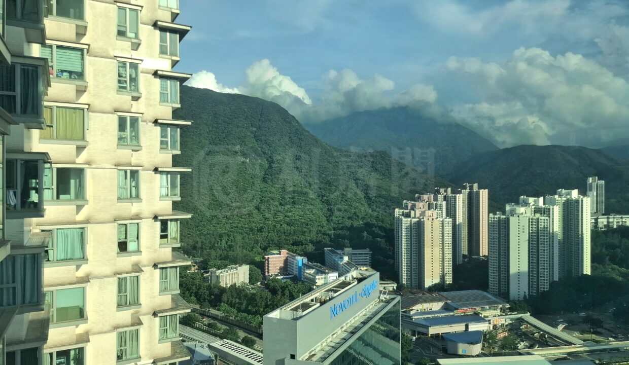 1e3aa173-1c08-47ae-b1c9-388a42443e0a.jpeg