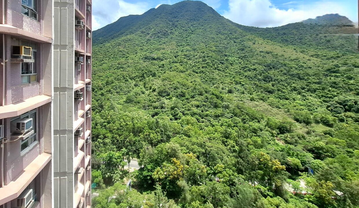 29617559-53d8-4803-b927-6e68df45e2c5.jpeg