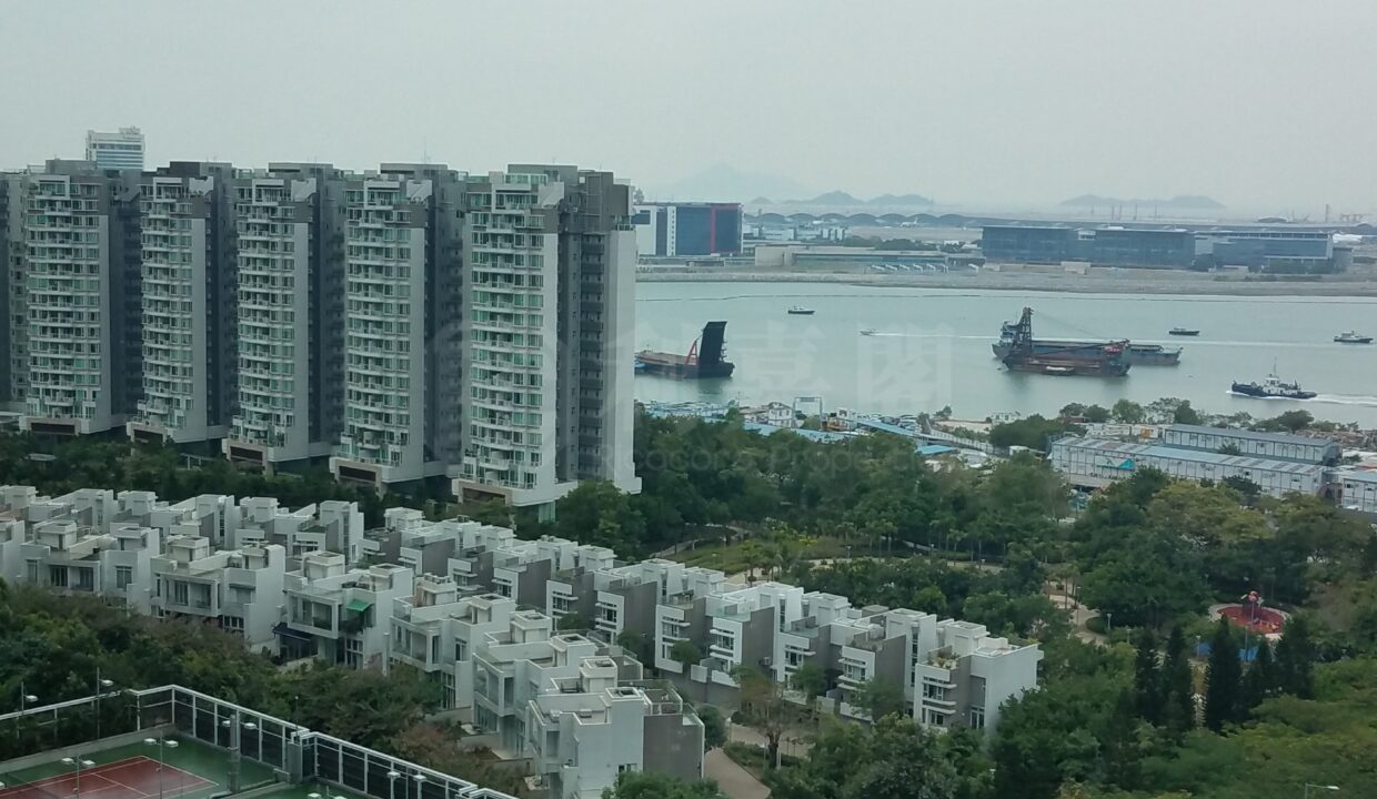 36f249d1-b082-4c5d-8f98-7b0d30344516.jpeg