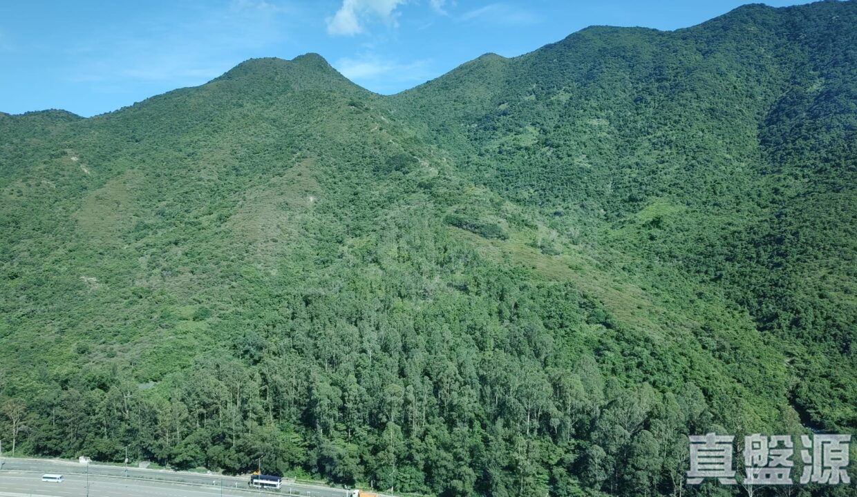 390ca1f0-ab8b-4f4a-be9c-b3154bc309d3.jpeg