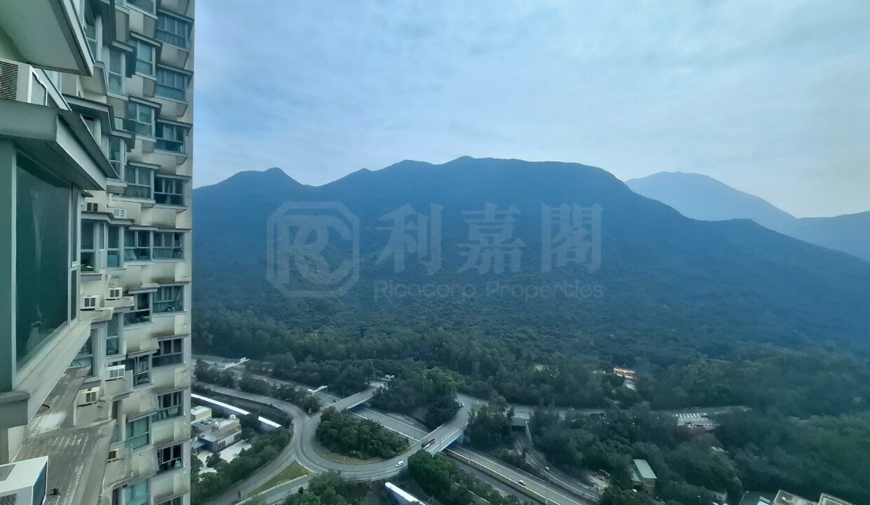 3d74ee58-087e-477a-910e-b466ae134aea.jpeg