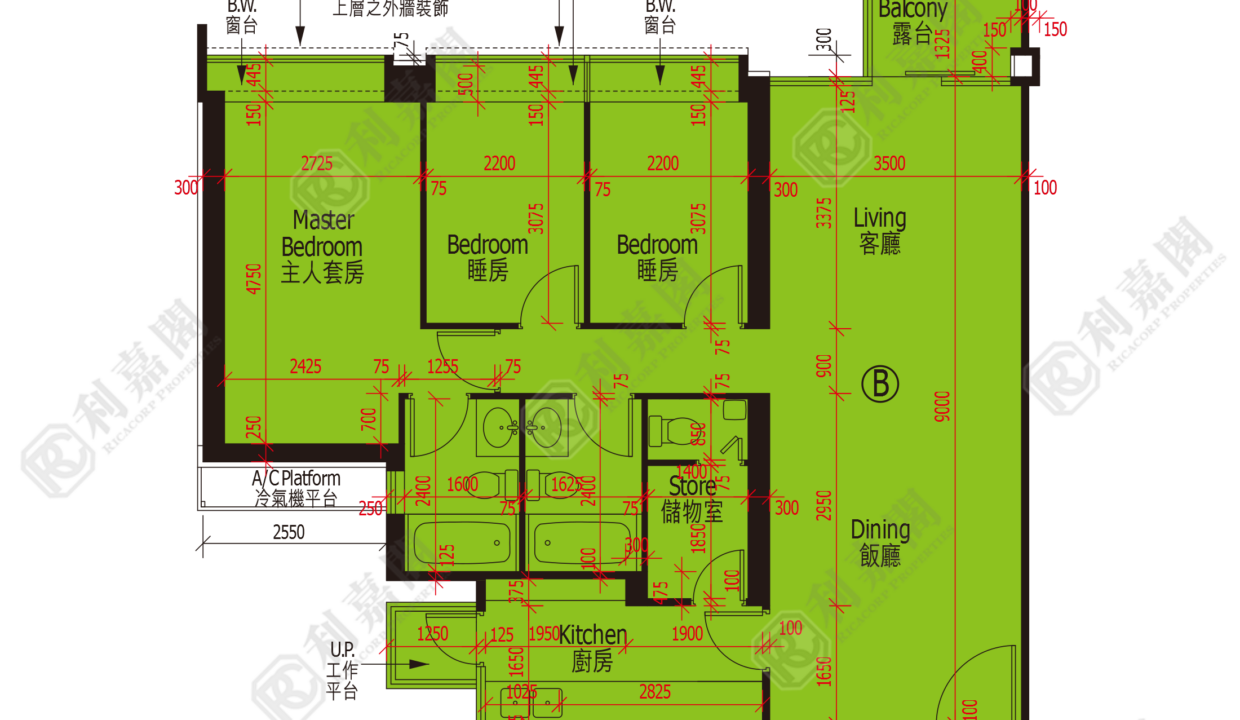 48111_2000_Ricacorp.png