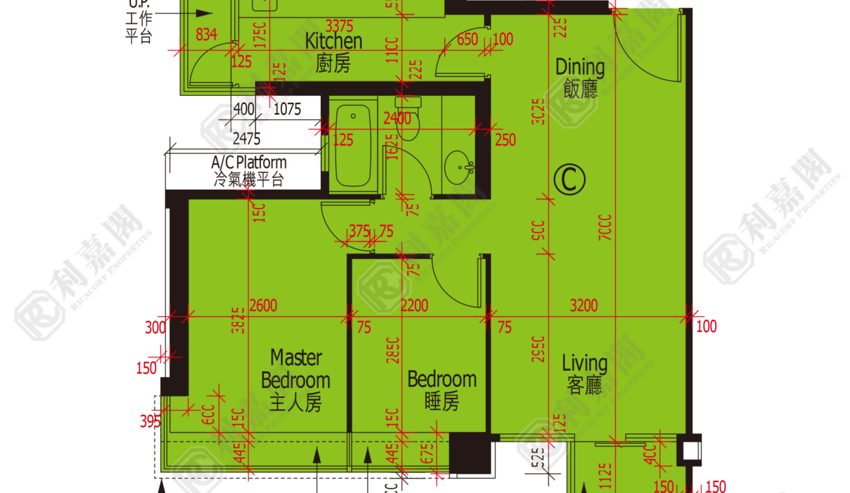 48124_2000_Ricacorp.png