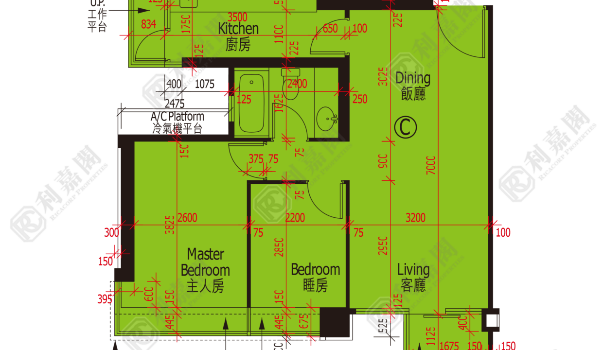 48144_2000_Ricacorp-1.png