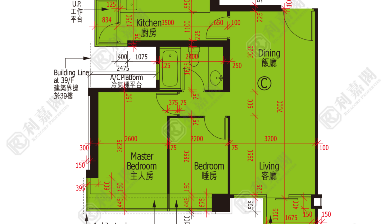 48145_2000_Ricacorp.png
