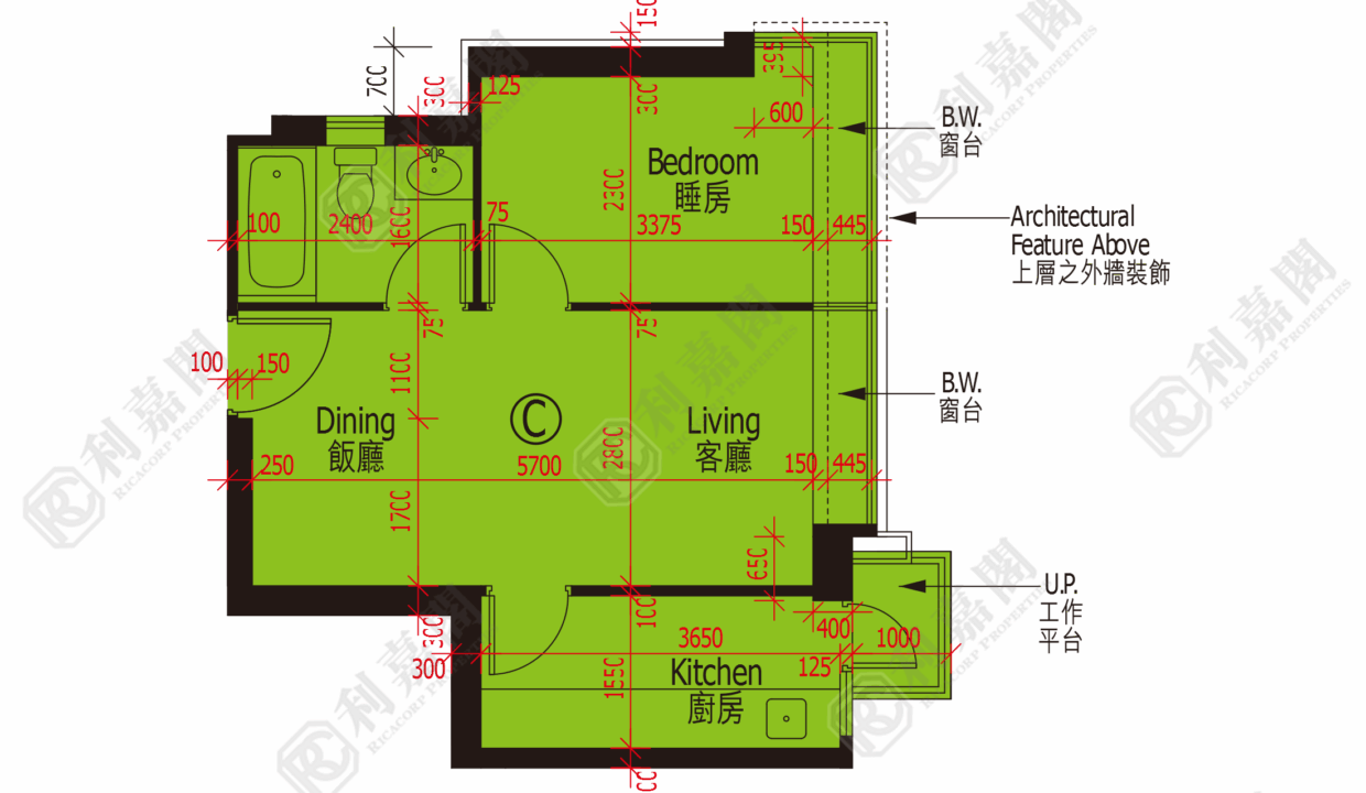 48152_2000_Ricacorp.png