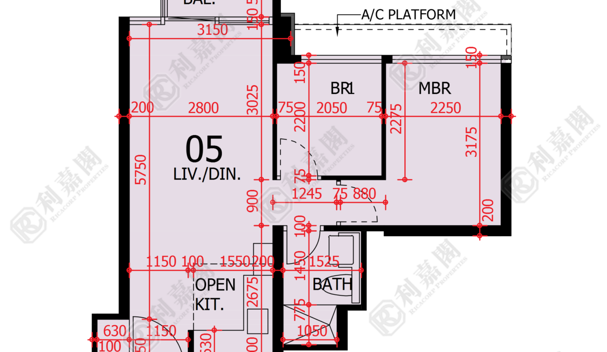 48189_2000_Ricacorp.png