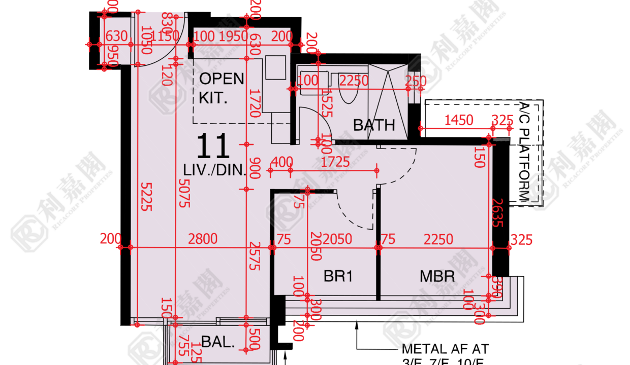 48222_2000_Ricacorp.png