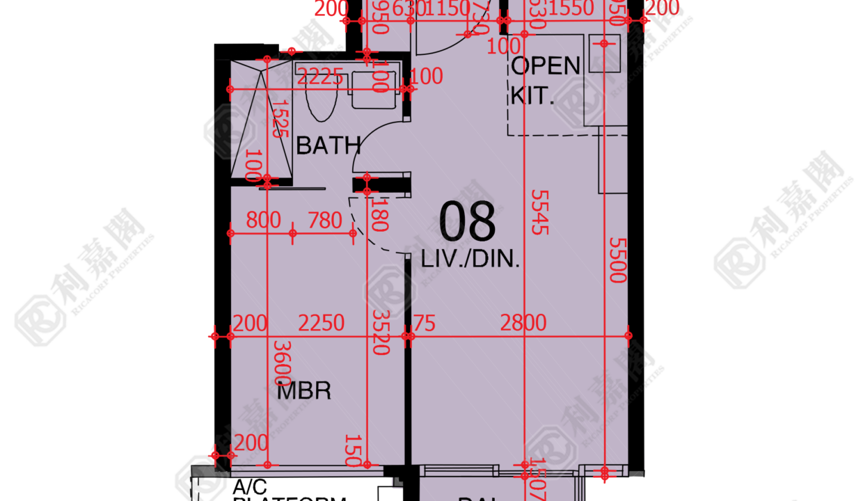 48254_2000_Ricacorp-1.png