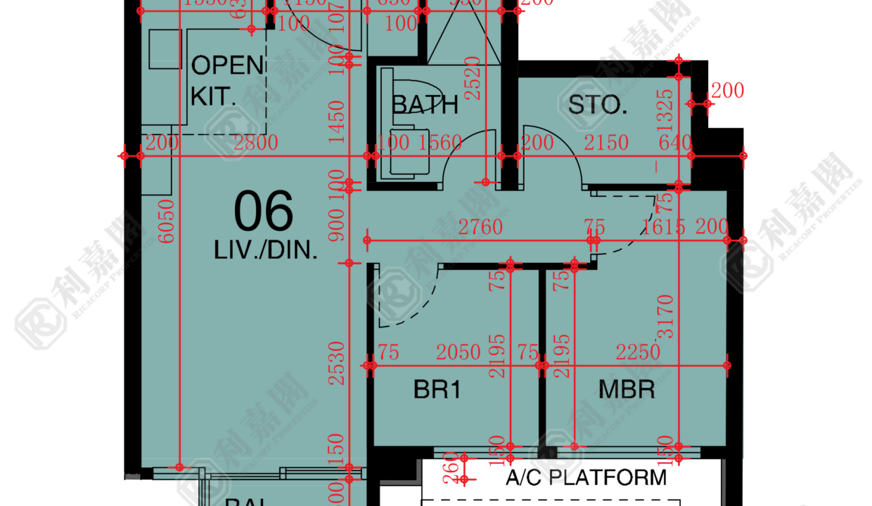 48288_2000_Ricacorp-1.png