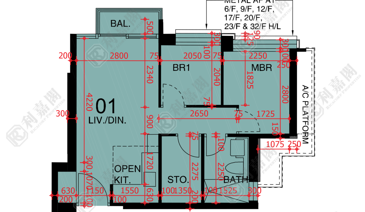 48308_2000_Ricacorp-1.png