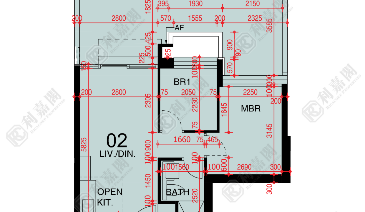 48314_2000_Ricacorp-1.png