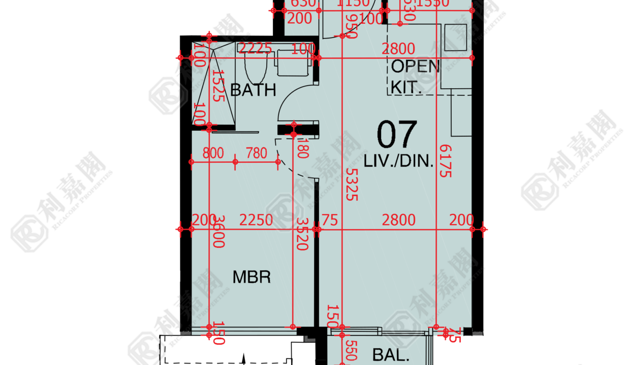 48341_2000_Ricacorp.png