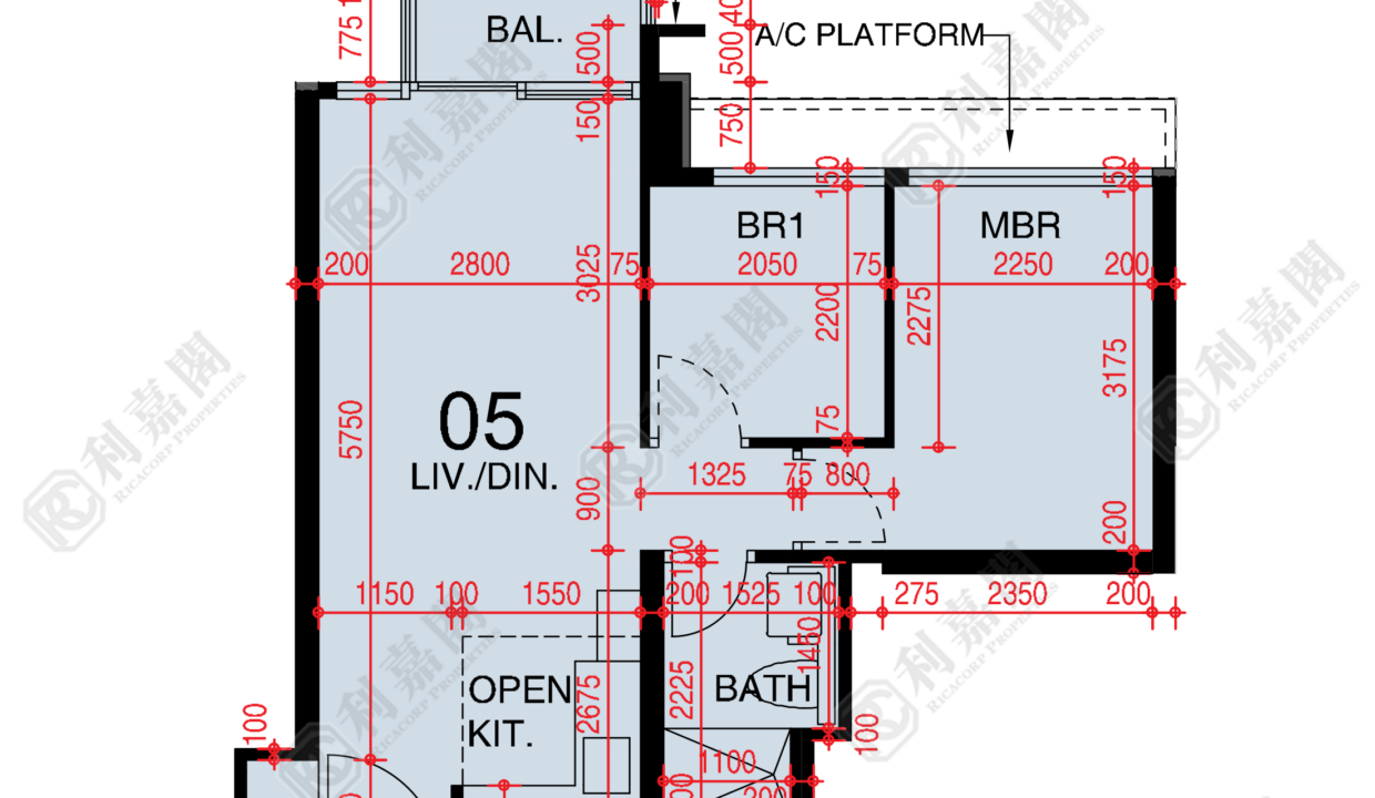 48382_2000_Ricacorp-1.png