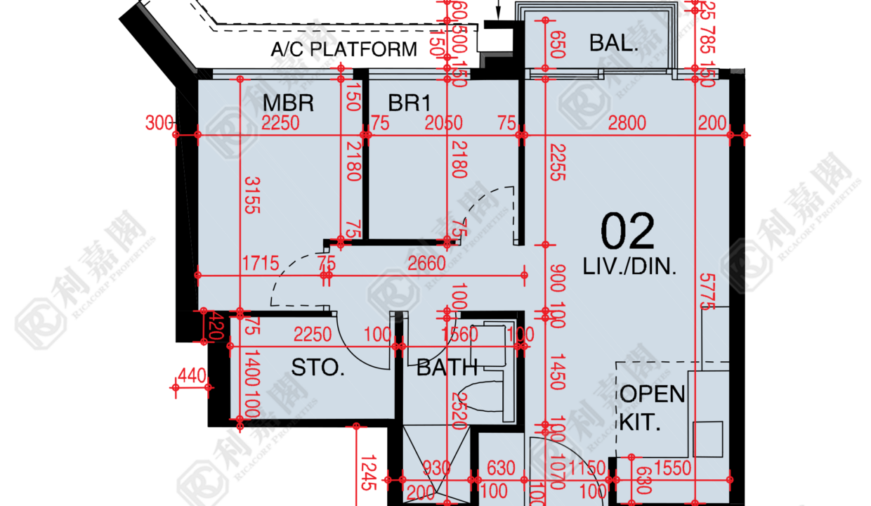 48421_2000_Ricacorp.png
