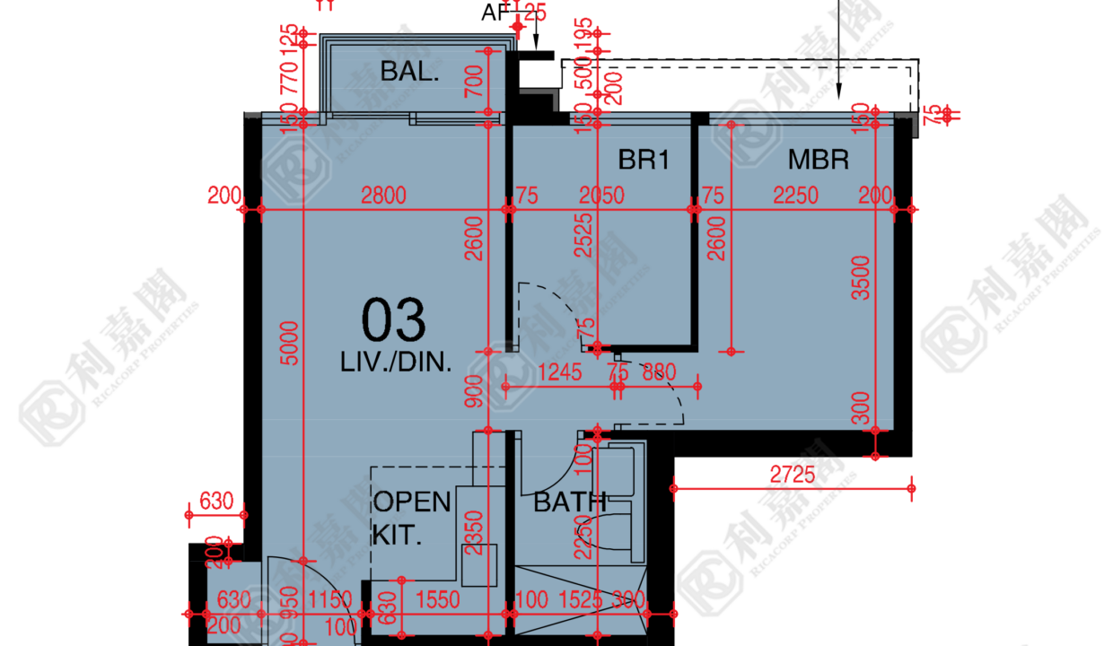 48426_2000_Ricacorp.png