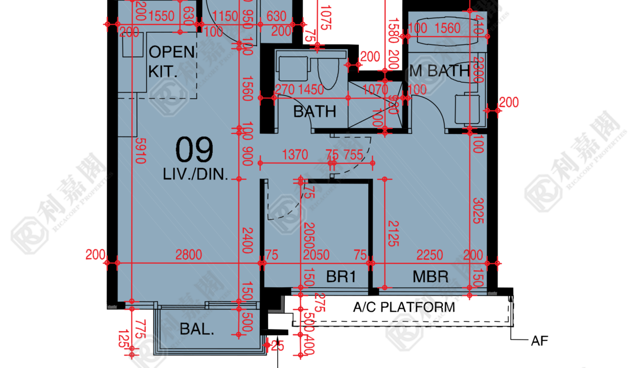 48451_2000_Ricacorp.png