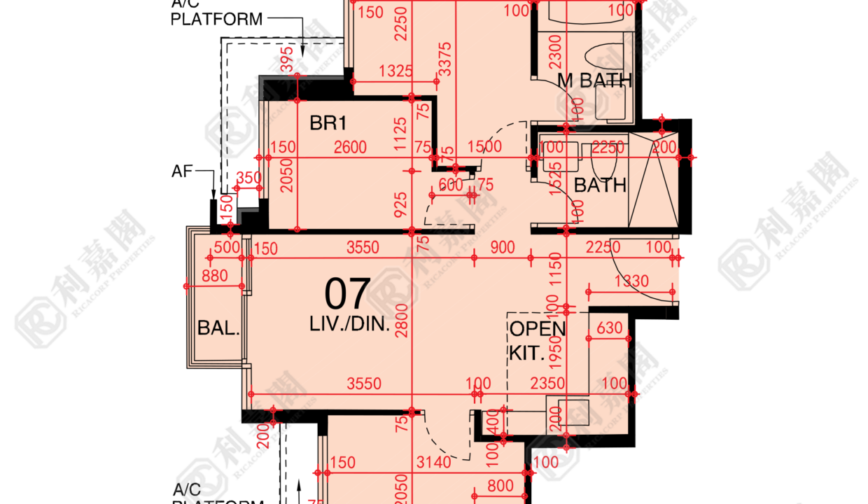 48485_2000_Ricacorp.png