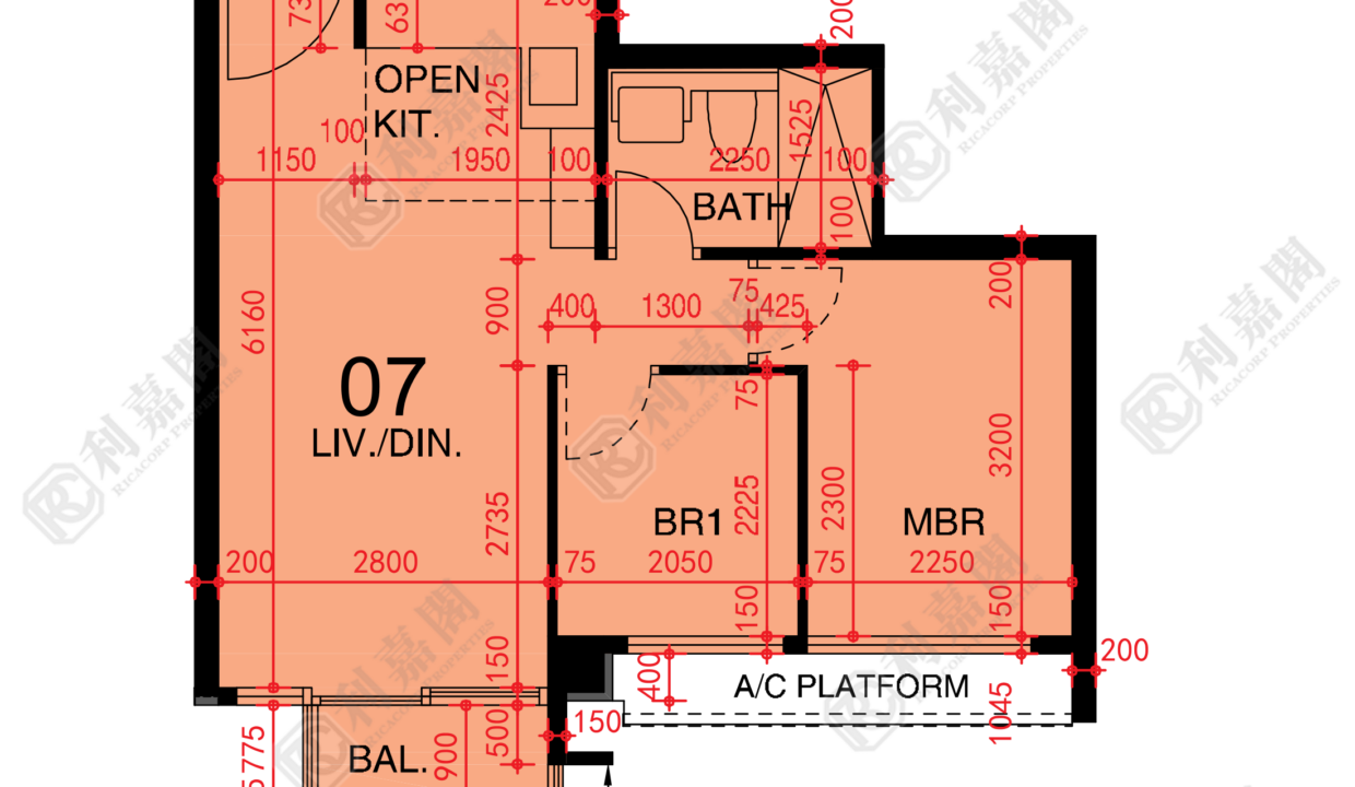 48539_2000_Ricacorp.png