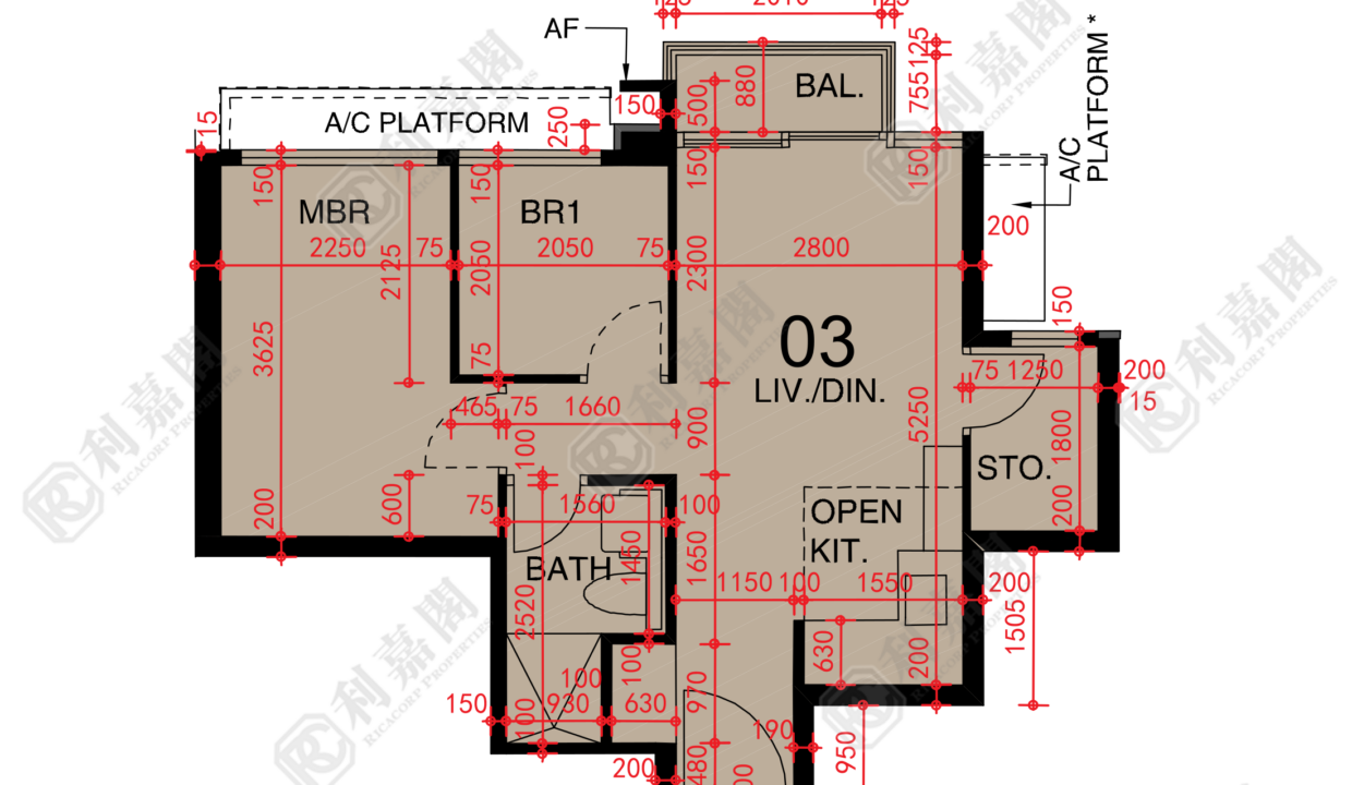 48569_2000_Ricacorp.png