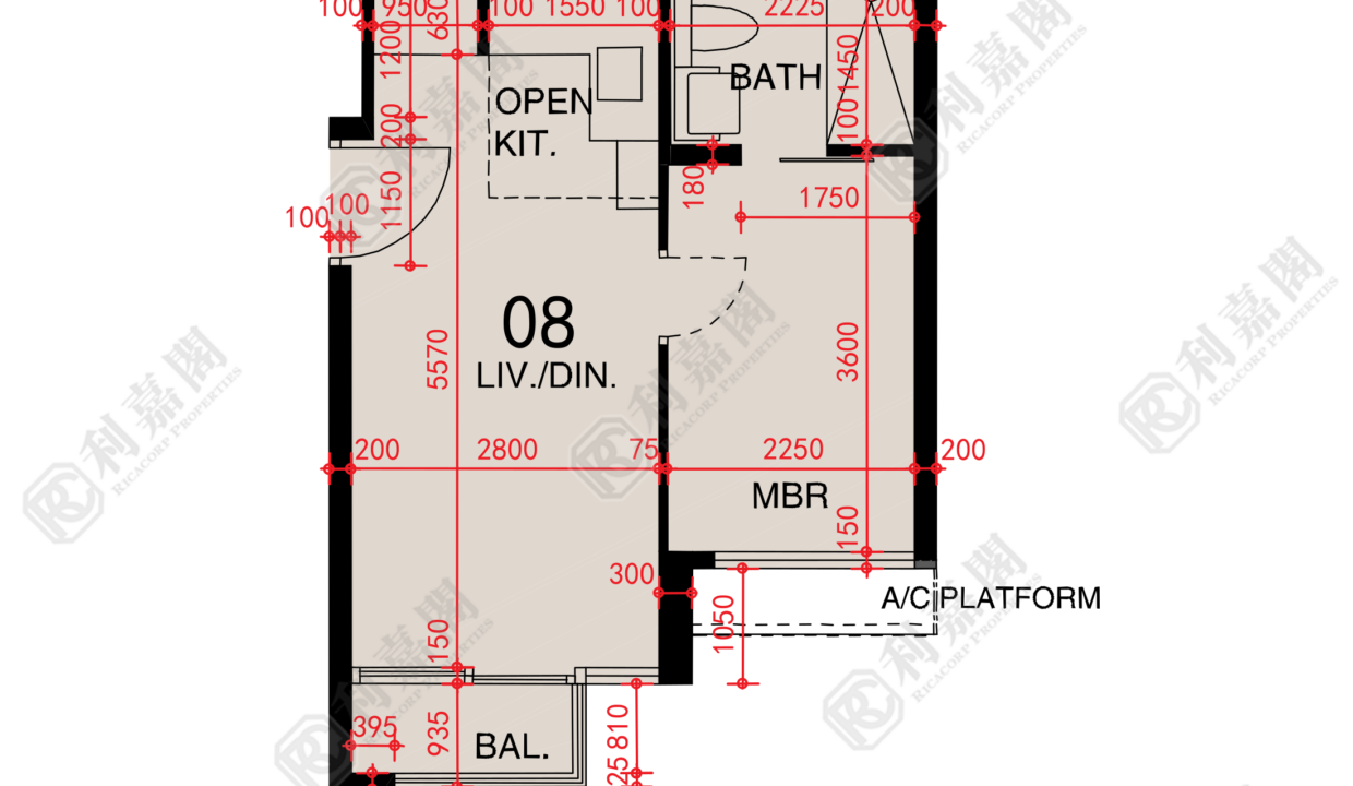 48585_2000_Ricacorp-1.png