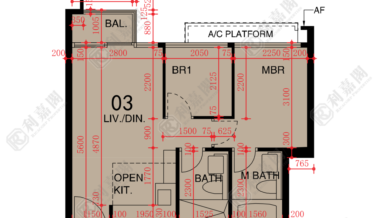 48631_2000_Ricacorp.png