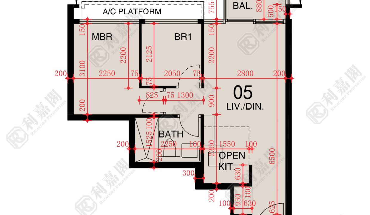 48633_2000_Ricacorp.png