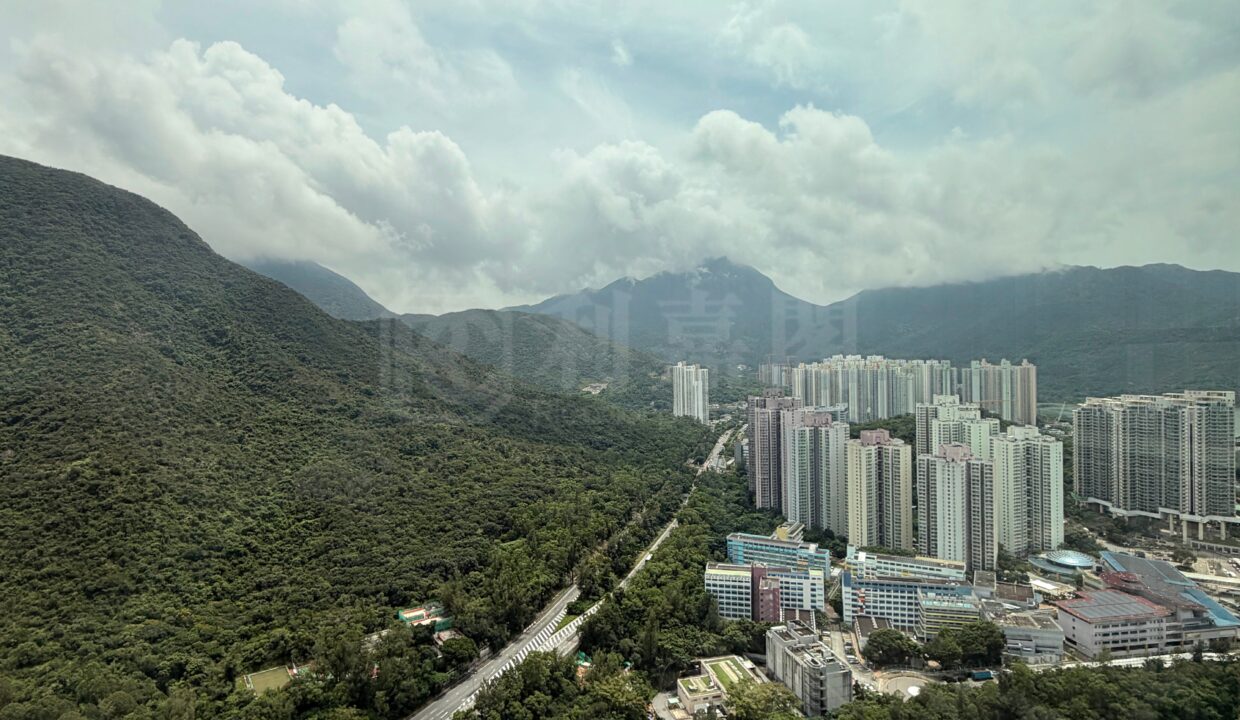 522cb069-2137-41da-84a8-9e2924e5c0f7.jpeg