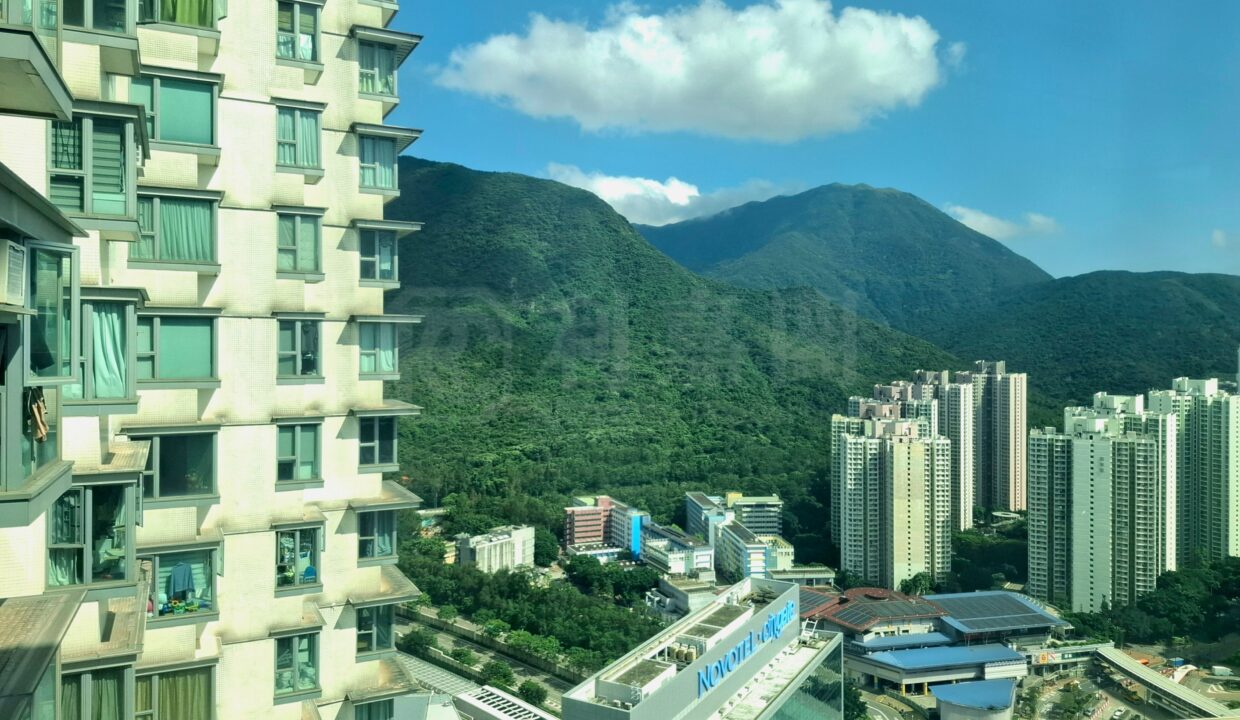 5f037256-666c-41e1-9033-43d077dc12dc.jpeg