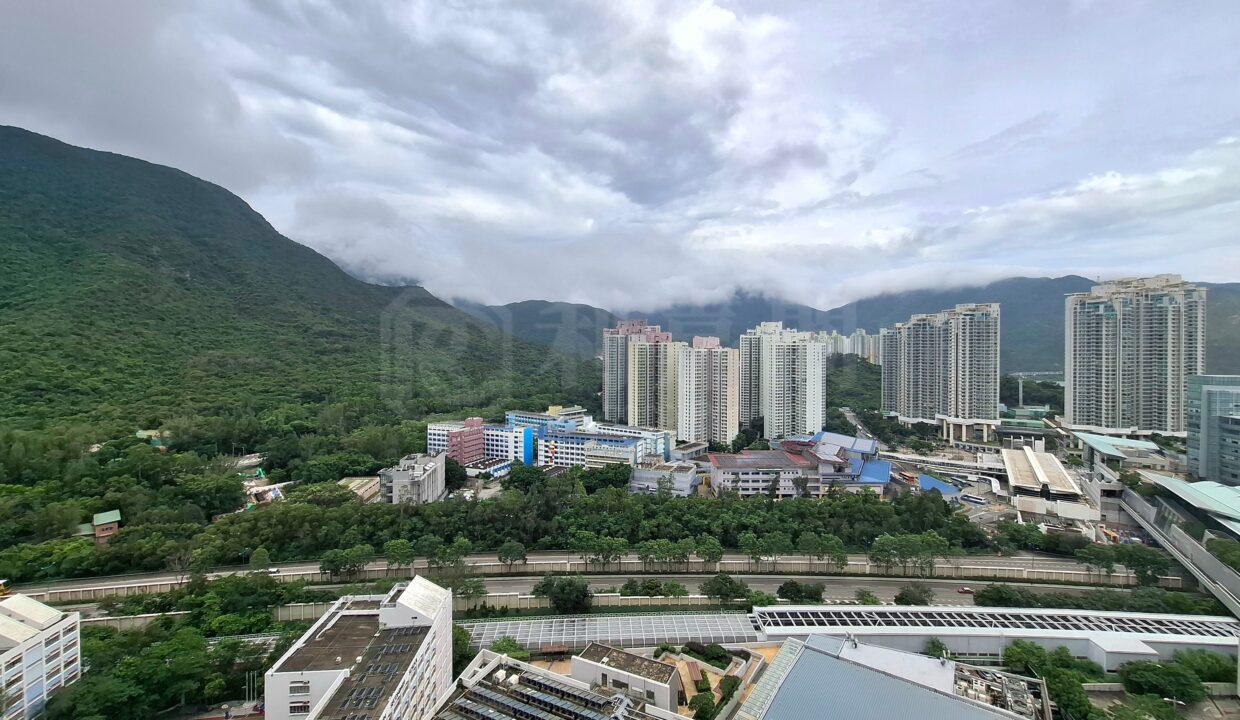b3753263-52ee-4714-9847-f5dfd39fd8ea.jpeg