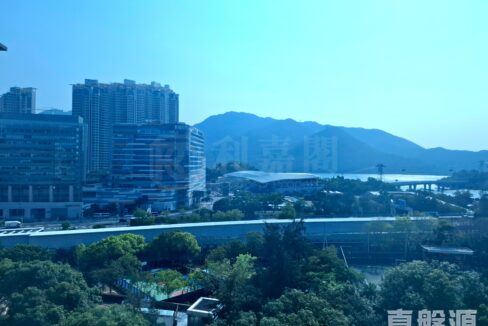 c24ed396-913d-434e-8e28-17c0295d681a.jpeg