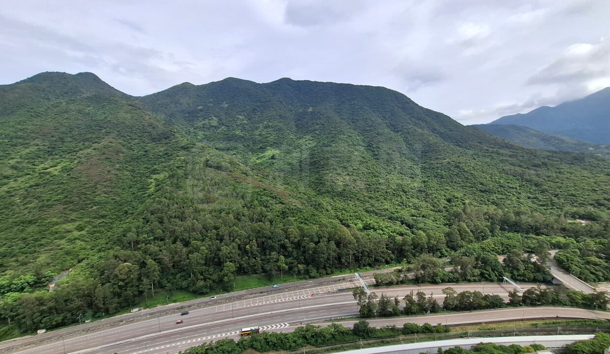 da763250-aeb3-44a4-b07d-546143213710.jpeg