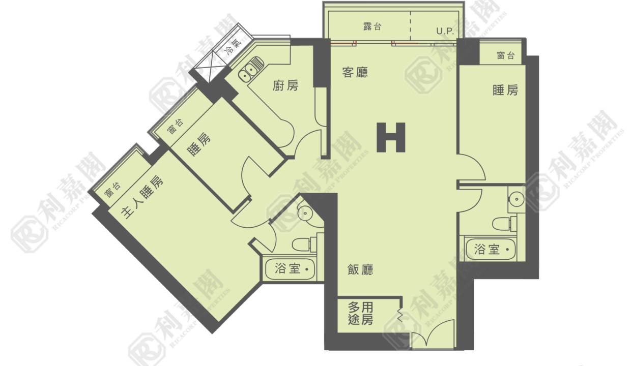 12375_2000_Ricacorp.png