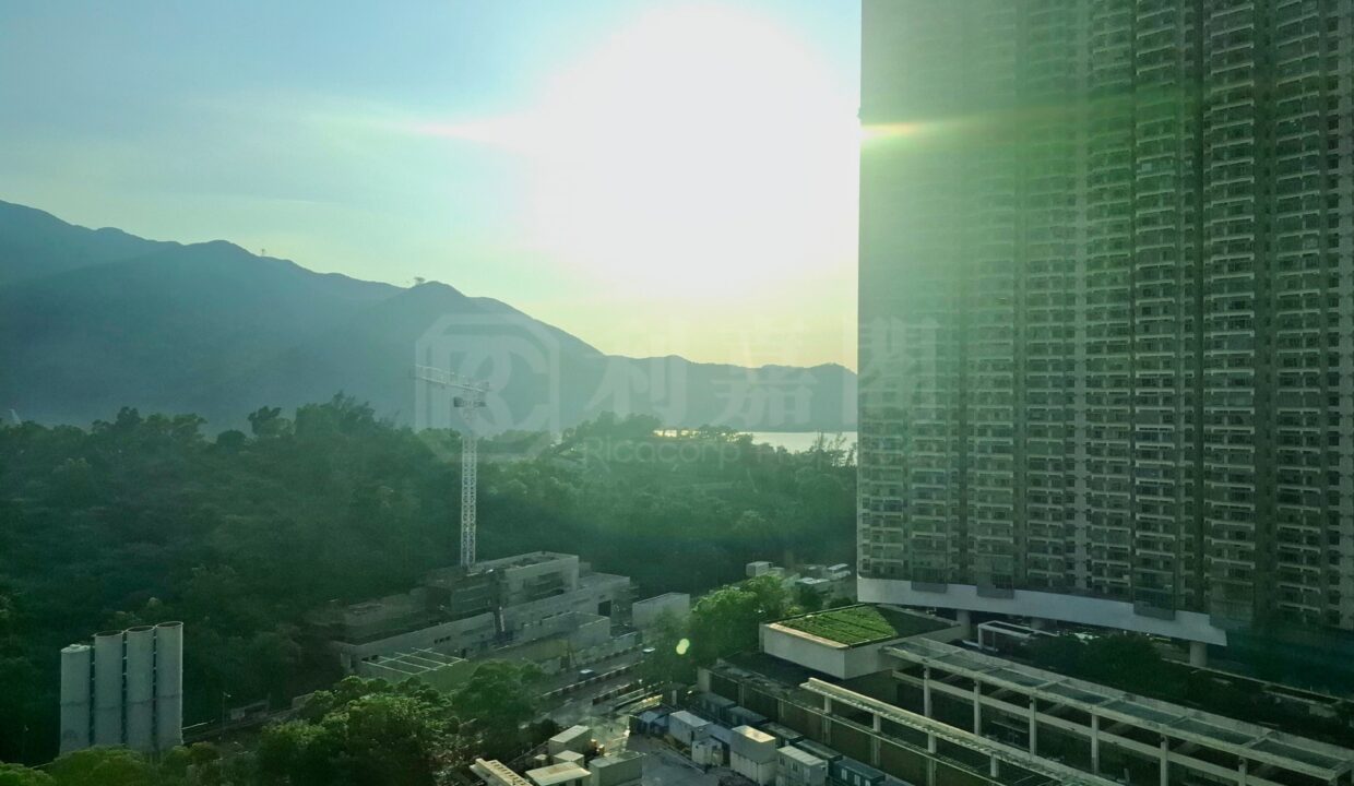 26d052cd-b7b8-4c52-b27d-ea47673418c6.jpeg