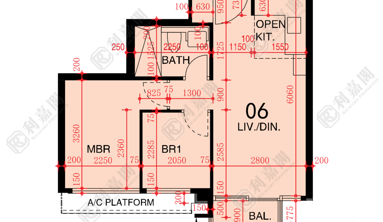 48531_2000_Ricacorp.png