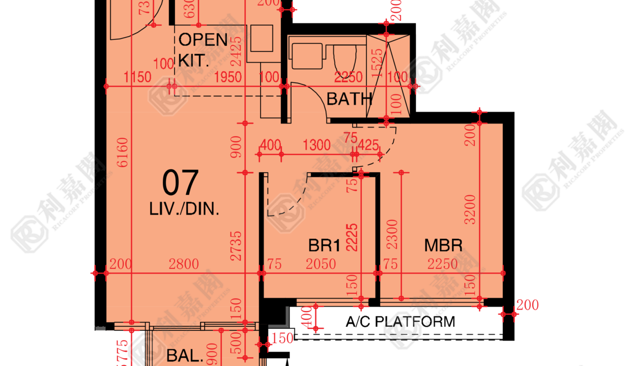 48538_2000_Ricacorp.png