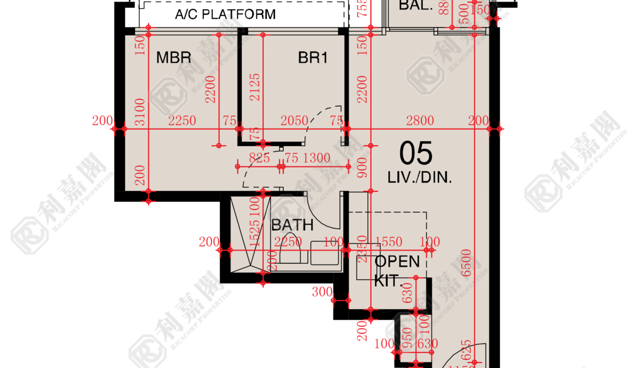 48635_2000_Ricacorp.png