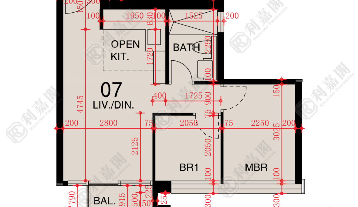 48648_2000_Ricacorp-1.png