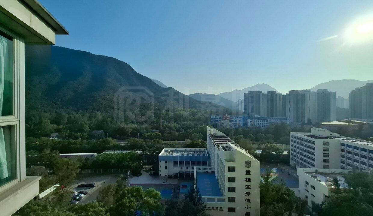 559a1da2-6176-4ae5-a0e3-c71733d76d70.jpeg