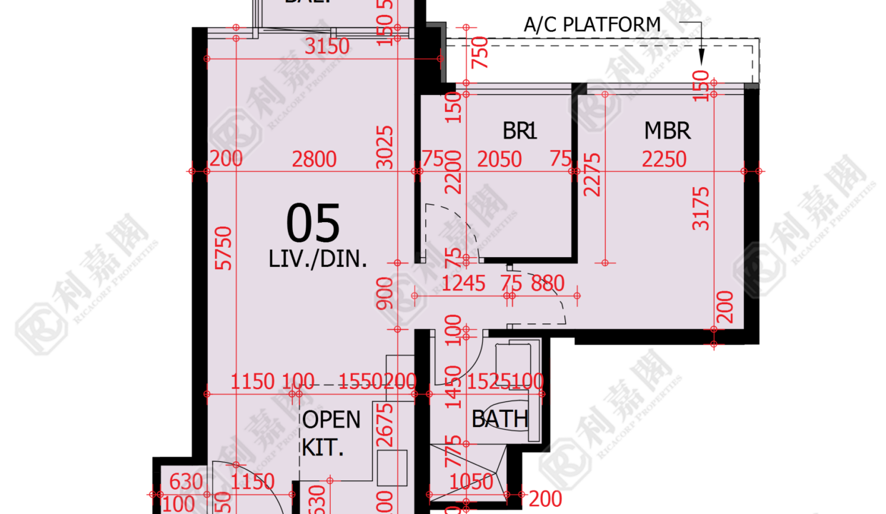 48187_2000_Ricacorp.png