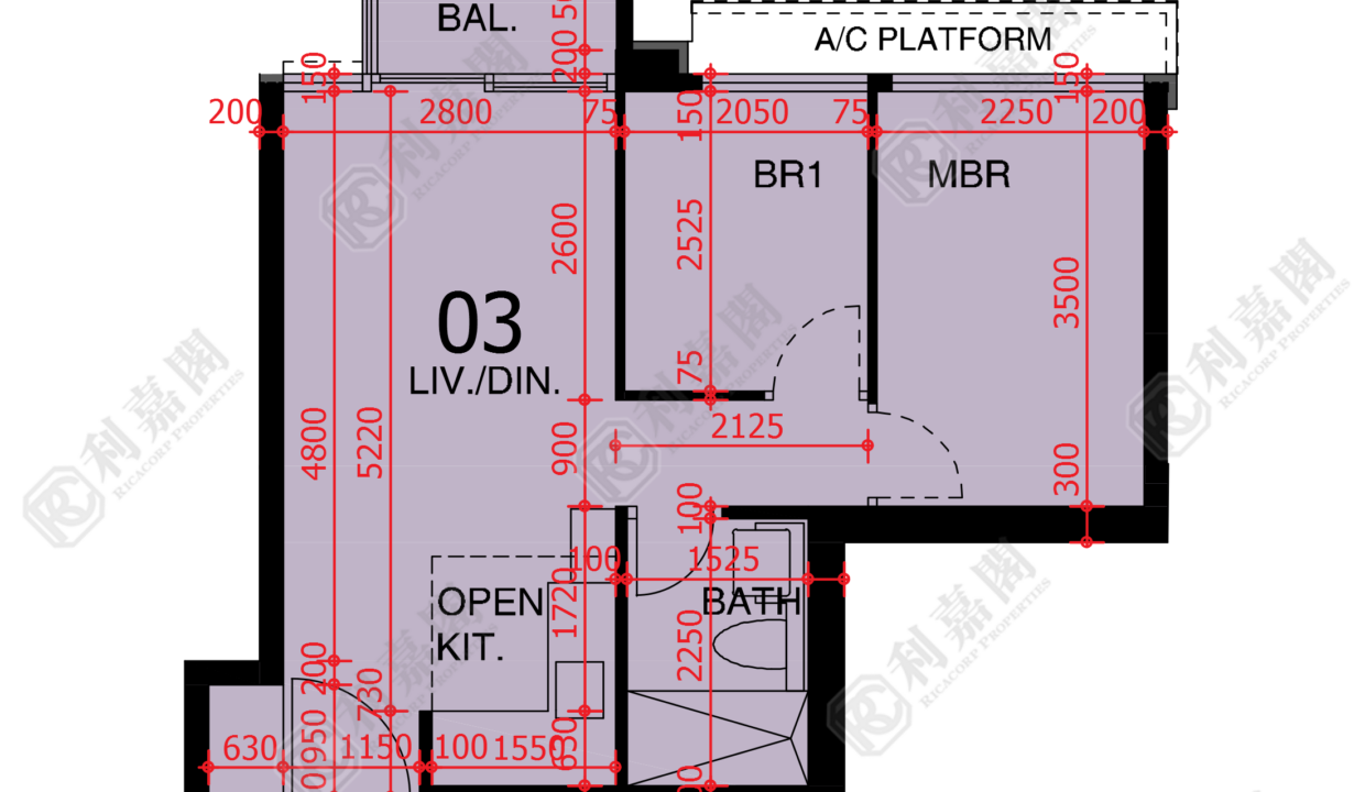 48235_2000_Ricacorp.png