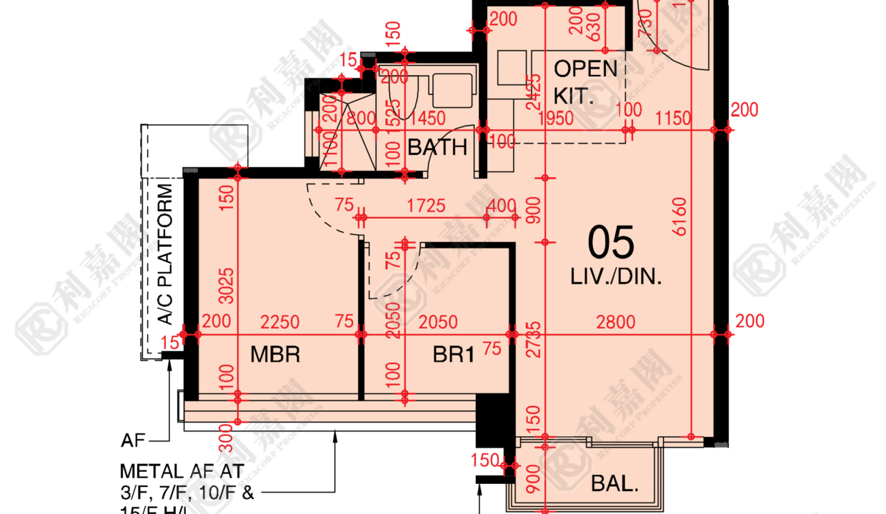 48473_2000_Ricacorp.png