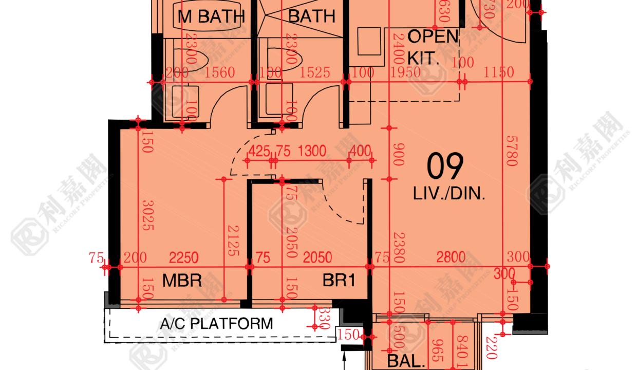 48549_2000_Ricacorp.png