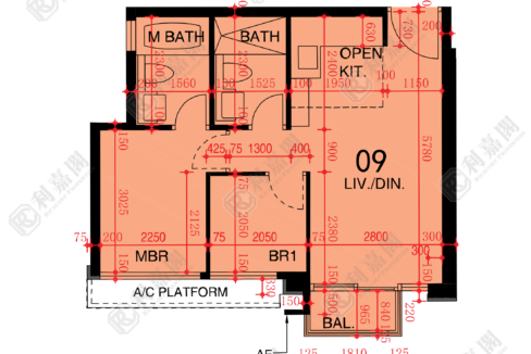 48549_2000_Ricacorp.png